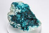 Vibrant Blue Veszelyite Cluster on Hemimorphite - Congo #206106-1